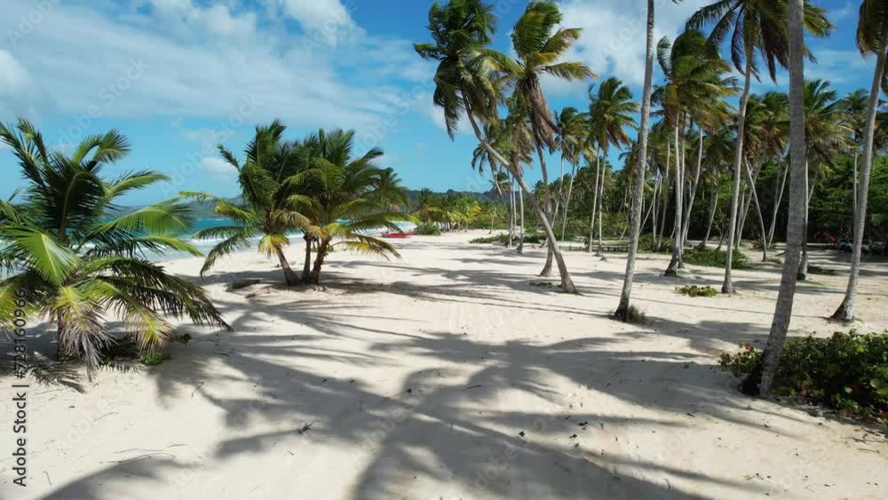 What a breathtaking tracking shot on one of the most beautiful beaches on earth - Playa Rincon in the Dominican Republic. What a breathtaking tracking shot on one of the most beautiful beaches on earth - Playa Rincon in the Dominican Republic.