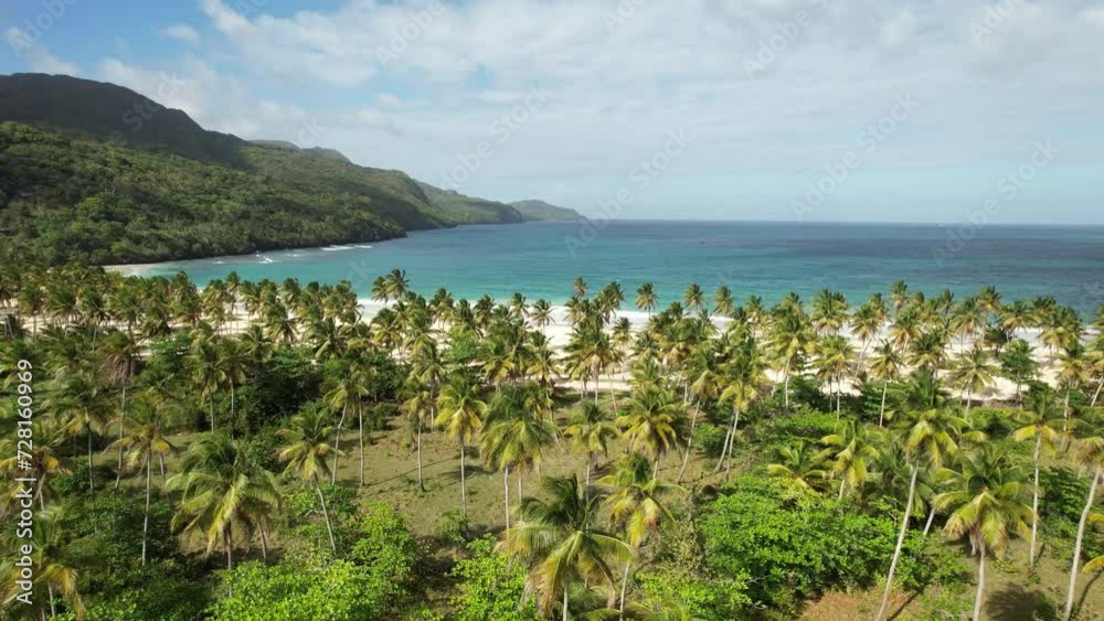 Flight towards the beach over a plantation with palm trees on the Samana peninsula. Flight towards the beach over a plantation with palm trees on the Samana peninsula.