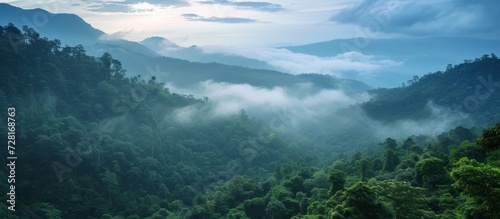 Enchanting Tropical Mount Forest  Explore the Beauty of the Lush Tropical Mount Forest Amidst its Majestic Landscape