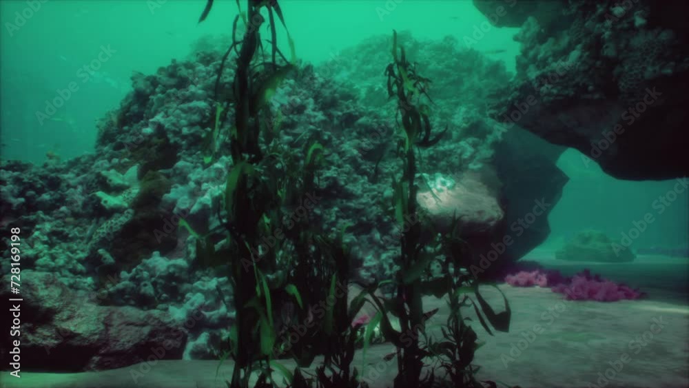 Shallow ocean floor with coral reef and fish