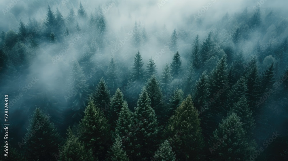 Aerial perspective captures fog shrouding dark pine forest trees, an ethereal landscape, Ai Generated - obrazy, fototapety, plakaty 