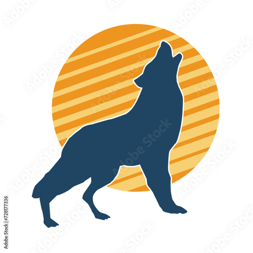 Silhouette of a wolf wild animal raising his head