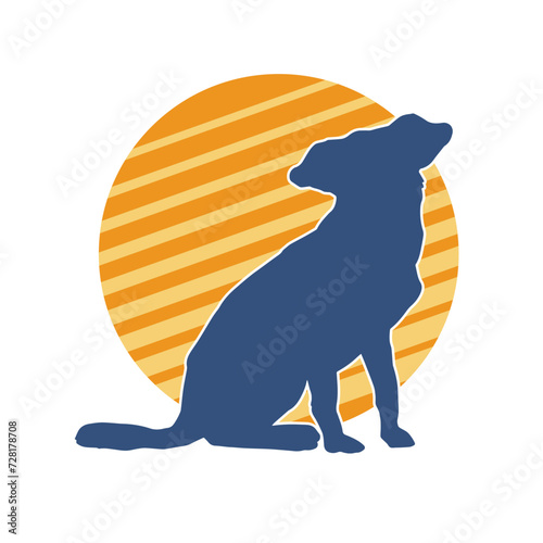 Silhouette of an active dog pet animal 