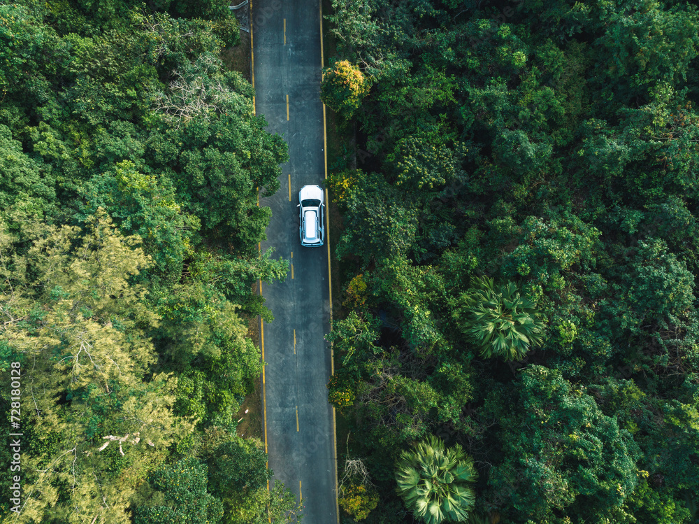 Aerial view of trail in spring tropical forest Aerial view of trail in spring tropical forest