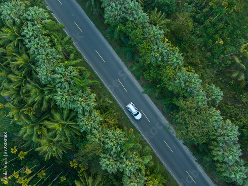 Aerial  view of driving on trail in spring tropical forest photo