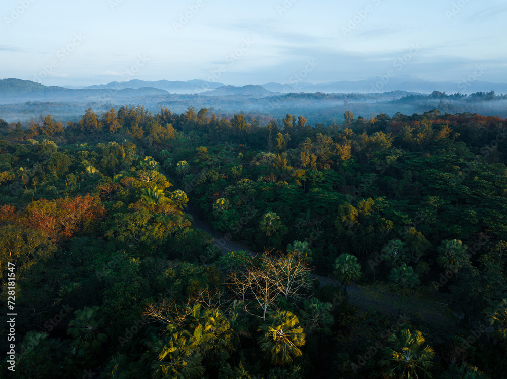 Obraz premium Aerial view of trail in spring tropical forest