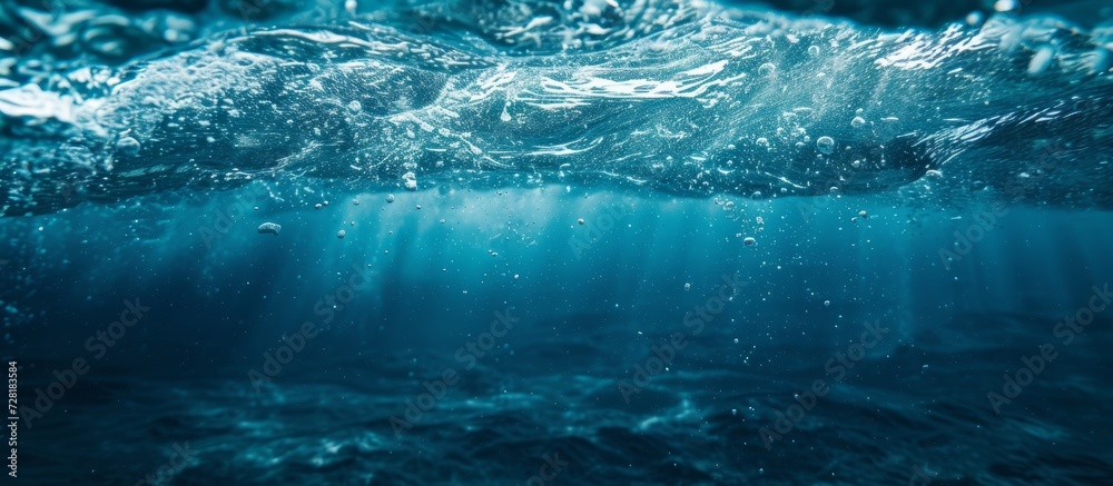 Lost Lead Sinker Polluting Sea: A Haunting Image of Lost, Lead, and Sinker Polluting the Deep Blue Sea