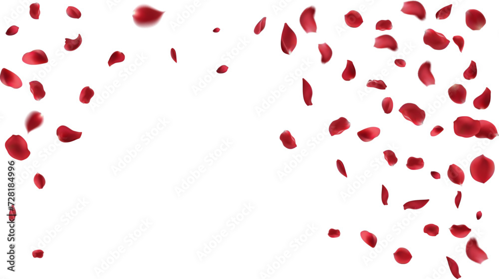 Valentine's day Vector red symbols of love border for romantic banner or Red rose petals will fall on abstract floral background with gorgeous rose greeting card design. on transparent background Valentine's day Vector red symbols of love border for romantic banner or Red rose petals will fall on abstract floral background with gorgeous rose greeting card design. on transparent background