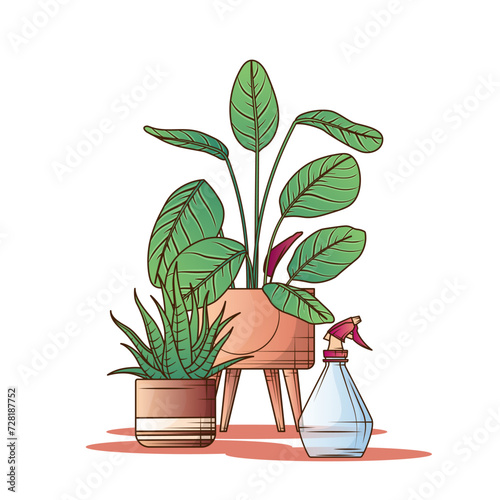 Calathea, haworthia and watering sprayer. Isolated vector illustration of houseplants. Flower shop, potted plant and home garden concept.