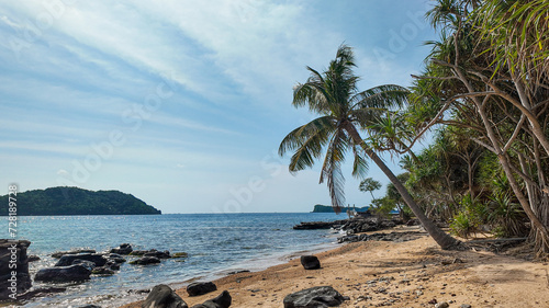 Tropical beach with palm trees  rocks  and clear sky  ideal for vacation and relaxation themes