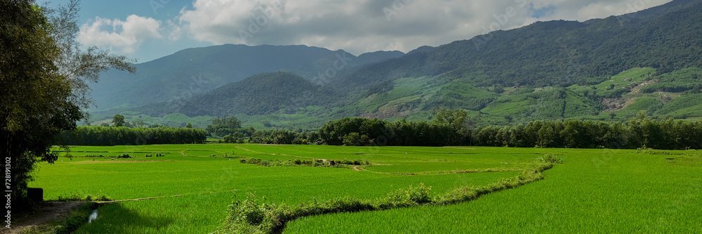 Lush green rice fields with a mountain backdrop under a partly cloudy sky, depicting rural tranquility and agricultural beauty