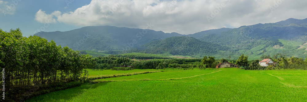 Lush green rice fields with distant mountain range and scattered rural houses under a partly cloudy sky, depicting tranquil rural life  Earth Day concept