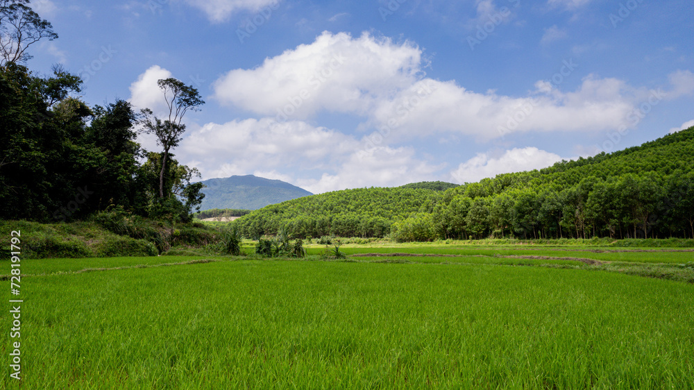 Lush green rice paddies with a backdrop of forested hills under a cloudy blue sky, depicting serene agricultural scenery  Earth Day concept