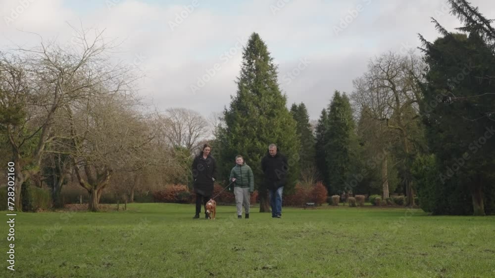Family dog walks eagerly beside owners secured by leash and harness Family dog walks eagerly beside owners secured by leash and harness