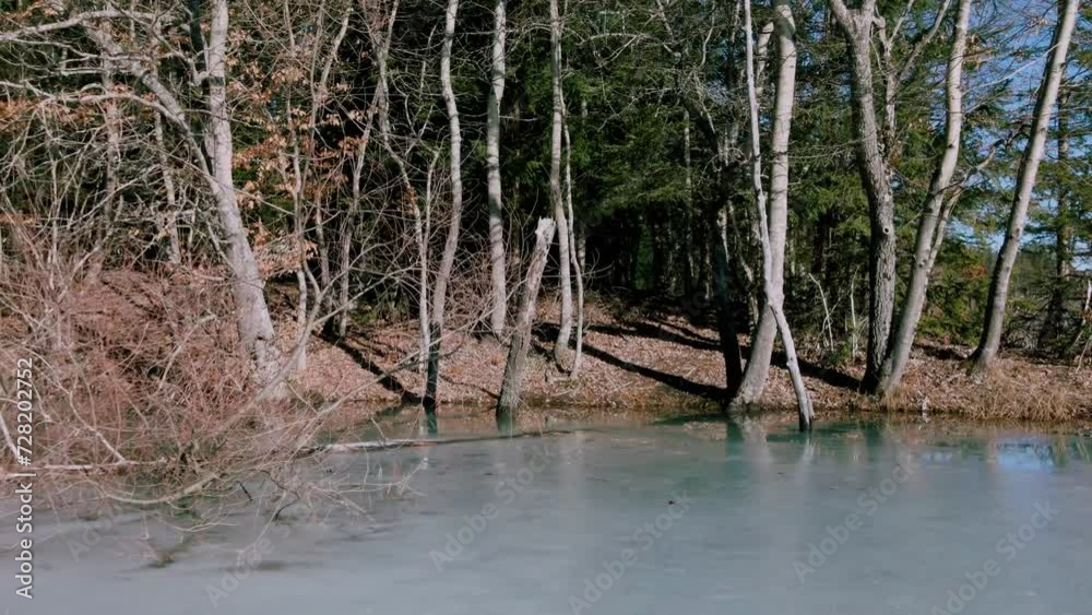 Aerial view of a frozen lake and nature of forest on a sunny bright day Aerial view of a frozen lake and nature of forest on a sunny bright day