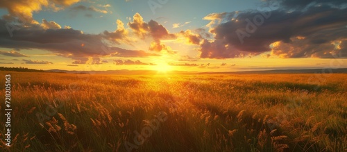 Expansive Field, Tranquil Grass, Sunset: A Breathtaking Trilogy of Field, Grass, and Sunset © TheWaterMeloonProjec