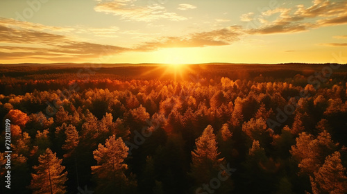 sunset over the field