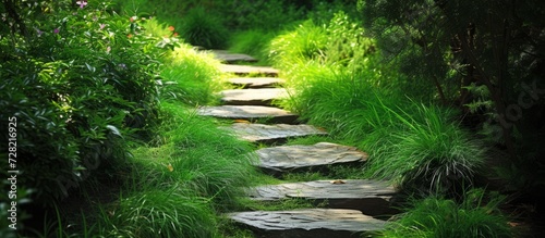 Enchanting Garden Path: Serene Stone, Lush Grass, and Mesmerizing Pathways