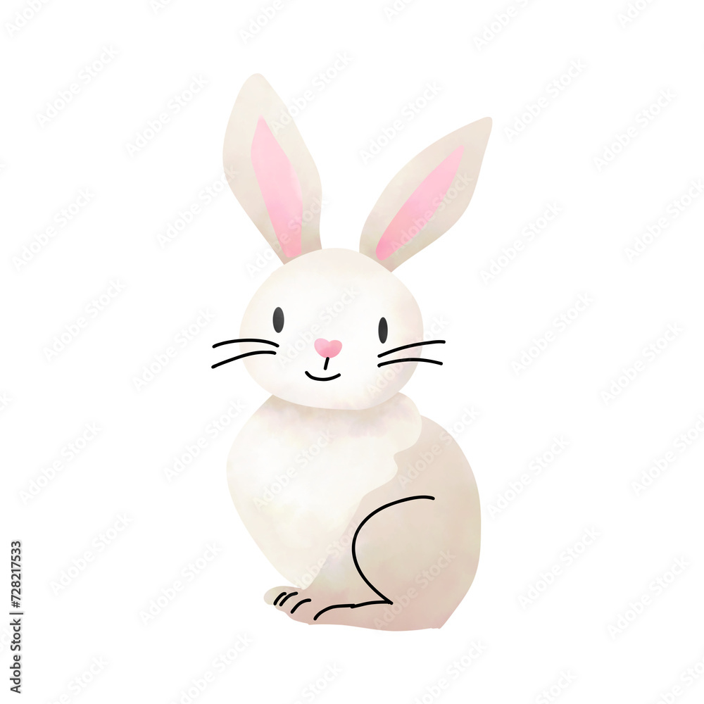 Fototapeta premium Cute rabbit isolated on white