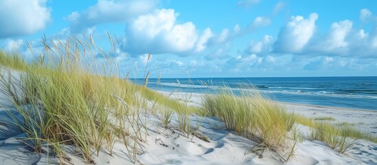 Fototapete Dünen Dünen und Strand an der Ostsee  © TheWaterMeloonProjec