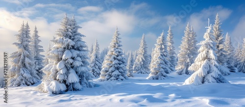 Winter Wonderland: A Wonderful Landscape of Snow-Covered Trees
