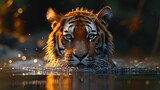 Tiger Stalking through Water at Twilight