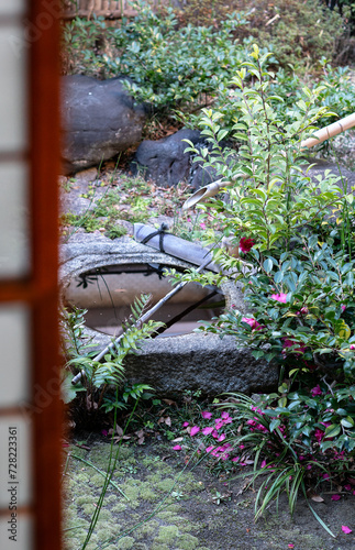 Japanese garden at Iwasaki house in tokyo.
they have winter flowers in february photo