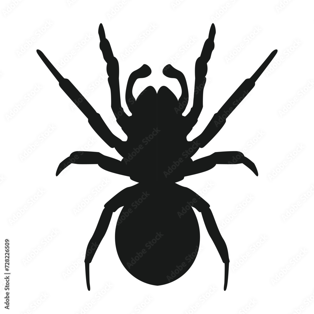 Obraz premium spider icon vector