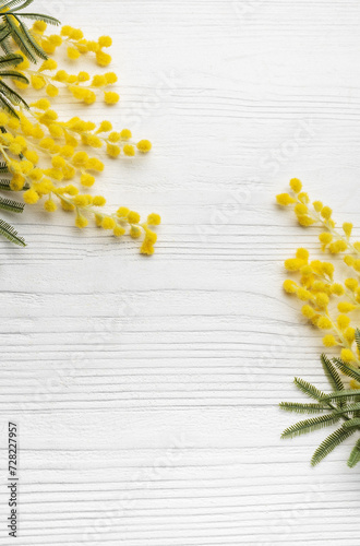 Mimosa flowers on white wooden background