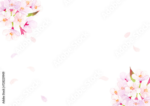 桜　水彩背景イラスト　