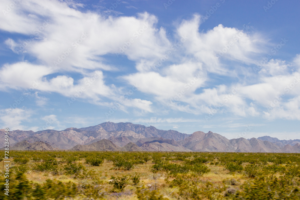 Desert in Arizona with green bushes and cacti on a sunny day with blue sky and white clouds. Nature near Phoenix, Arizona, USA