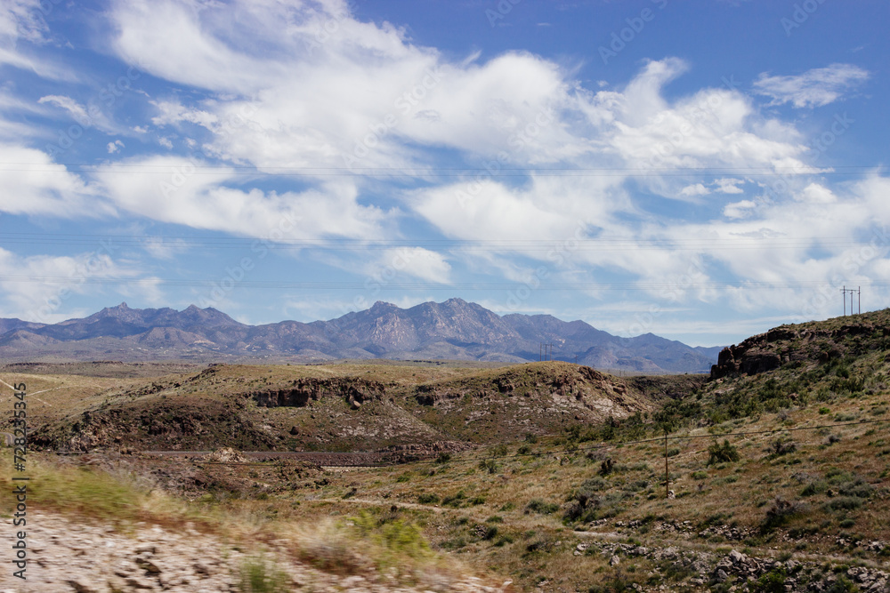 Desert in Arizona with green bushes and cacti on a sunny day with blue sky and white clouds. Nature near Phoenix, Arizona, USA