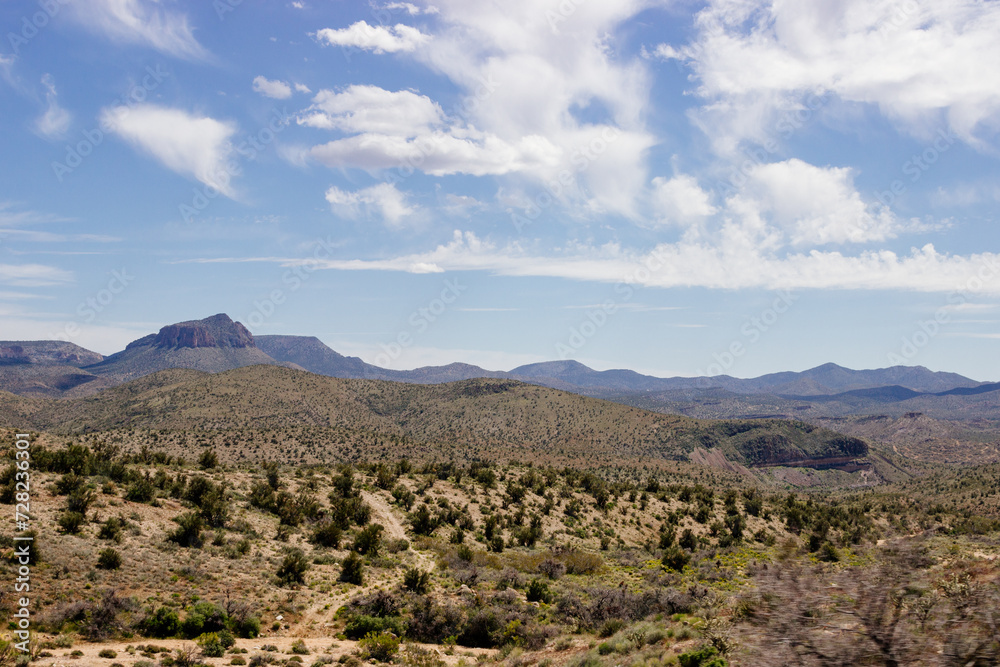 Desert in Arizona with green bushes and cacti on a sunny day with blue sky and white clouds. Nature near Phoenix, Arizona, USA