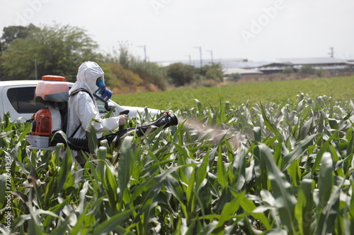 bicycle in the field