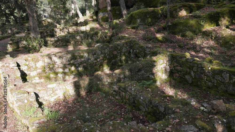 Pan across archaeological ruins with sunlight breaking tree canopy landing on stone walls Pan across archaeological ruins with sunlight breaking tree canopy landing on stone walls