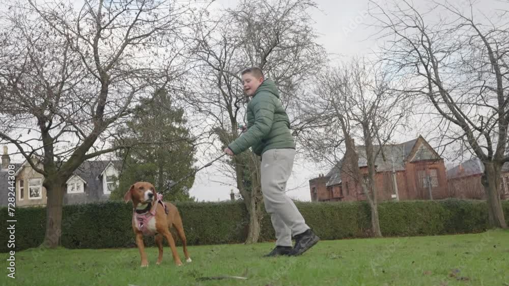 Young boy trains his dog using positive reinforcement and playful interactions Young boy trains his dog using positive reinforcement and playful interactions