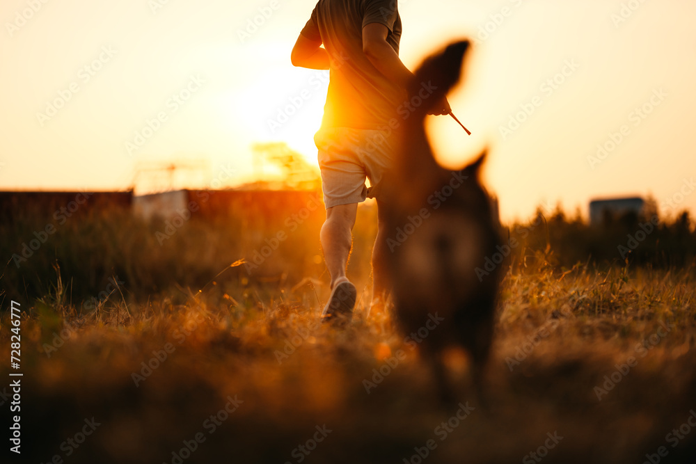 A man running and dog happy run after him on the meadow during sunset. Pet and family concept.