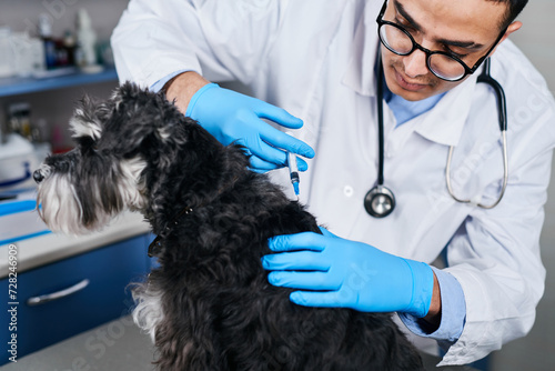 Fototapeta Naklejka Na Ścianę i Meble -  Veterinarian making a vaccine to a domestic dog