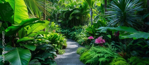 Tropical Green Plants Blissfully Surround Lush Garden