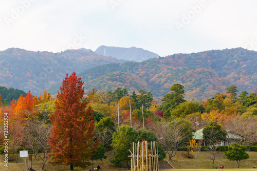 紅葉した山の麓の公園の風景