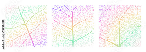 Leaf vein texture abstract background with close up plant leaf cells ornament texture pattern. Gradient organic macro linear pattern of nature leaf foliage vector illustration.