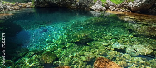 Crystal Clear Waters of the Refreshing Spring Pool