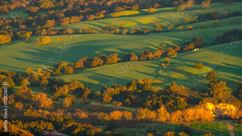 Sunrise, Santa Ynez Valley, Green Hills, Rolling Hills, Oak Trees, Fog, Early Morning Light