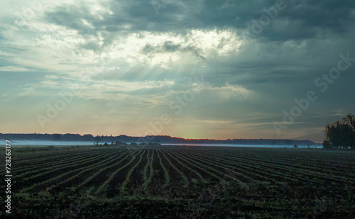 This atmospheric image captures the moody essence of a sunrise peeking through the dramatic cloud cover over a plowed field. The early rays of the sun highlight the textures and patterns of the field