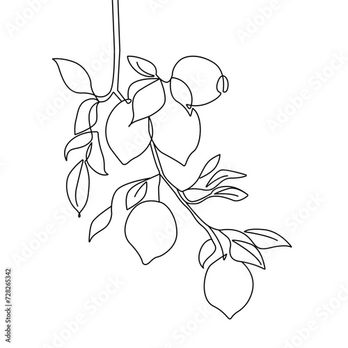 Continuous Line Drawing Of Lemon Branch with Leaves Black Sketch Isolated on White Background. Lemon Branches One Line Minimalist Drawing. Vector EPS 10.