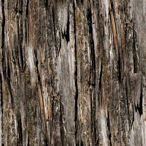 wood, texture, seamless background, pattern, bark, beautiful background
