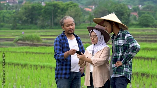 Farmers and Agronomists Collaborating in Rice Field Discussing Crop Management and Planning, Utilizing Modern Technology for Enhanced Agricultural Practices and Production