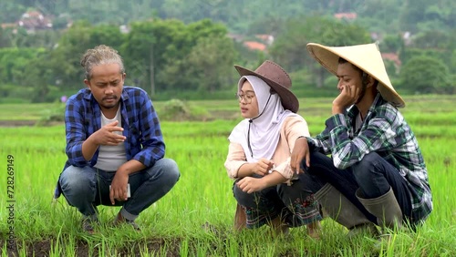 Farmers Discussing Rice Crop in Lush Green Paddy Field
