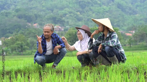 Experienced Asian farmer guides young colleagues through a vibrant rice paddy, fostering knowledge transfer and sustainable agricultural innovation for prosperous harvests.