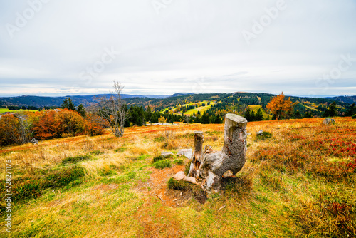 Landscape in autumn at Feldberg in the Black Forest. Feldbergsteig hiking trail. Nature in the Breisgau-Hochschwarzwald district in Baden-Württemberg.
 photo